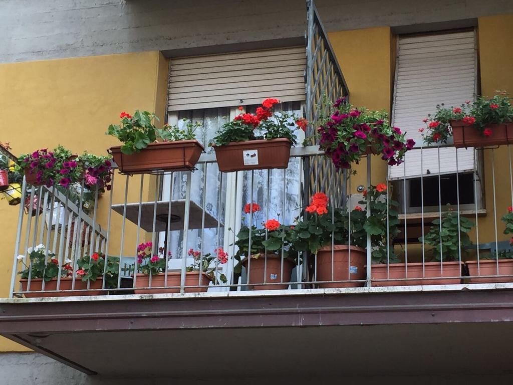 Hotel Cinzia Firenze